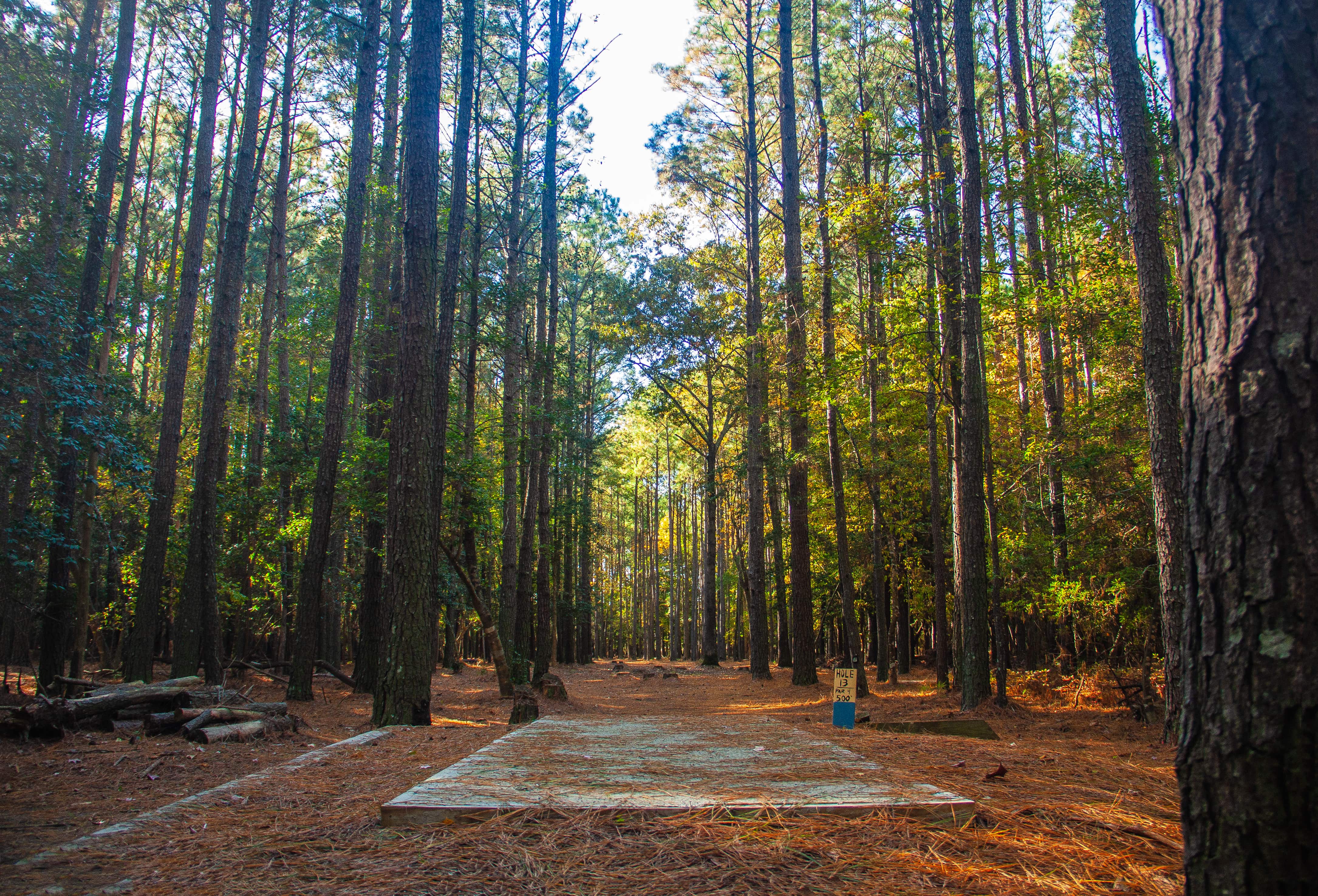 About Lynwood Forrest DGC